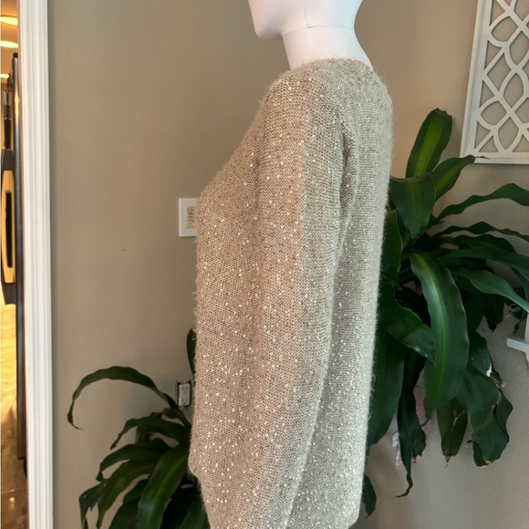 The Limited Tan and Gold sequins  Crew Neck Sweater - Picture 3 of 7